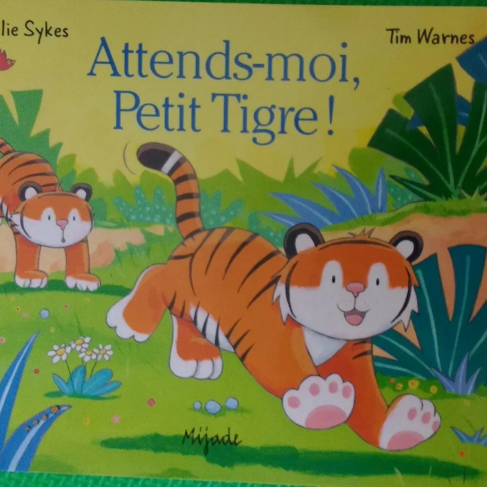 Attends-moi petit Tigre! by Julie Sykes 2001 French New